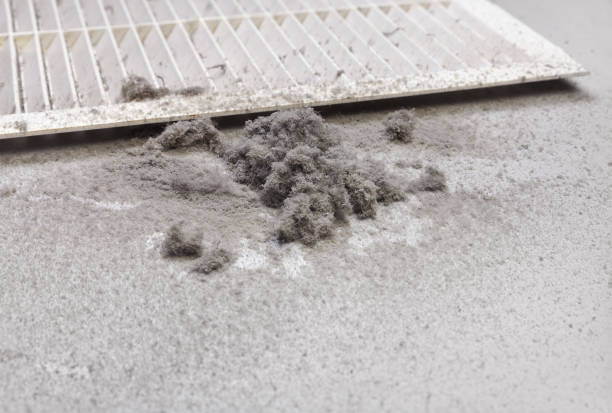 Best HVAC Maintenance and Cleaning  in New Smyrna Beach, FL