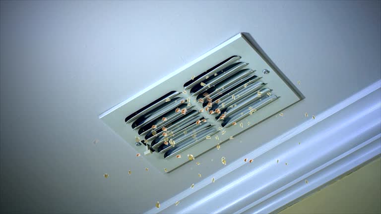 Best Emergency Air Duct Cleaning  in New Smyrna Beach, FL