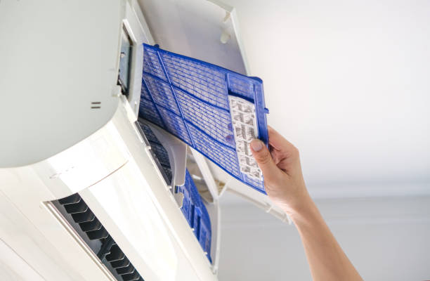 Best Professional Duct Cleaning Services  in New Smyrna Beach, FL
