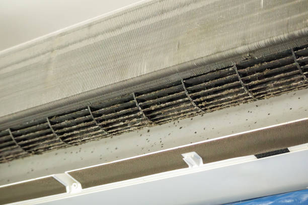  New Smyrna Beach, FL Airduct Cleaning Pros