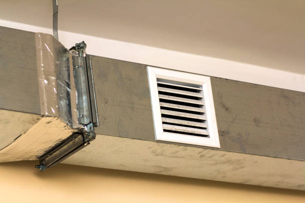 Best Professional Duct Cleaning Services  in New Smyrna Beach, FL